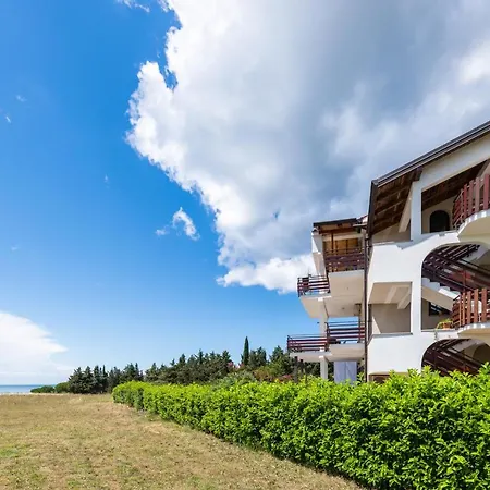 Petelin Lägenhet Novigrad Istria