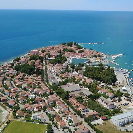 Petelin Novigrad Istria