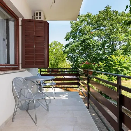 Petelin Lägenhet Novigrad Istria