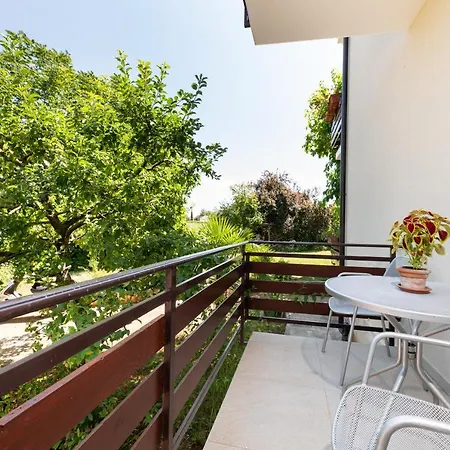 Petelin Lägenhet Novigrad Istria