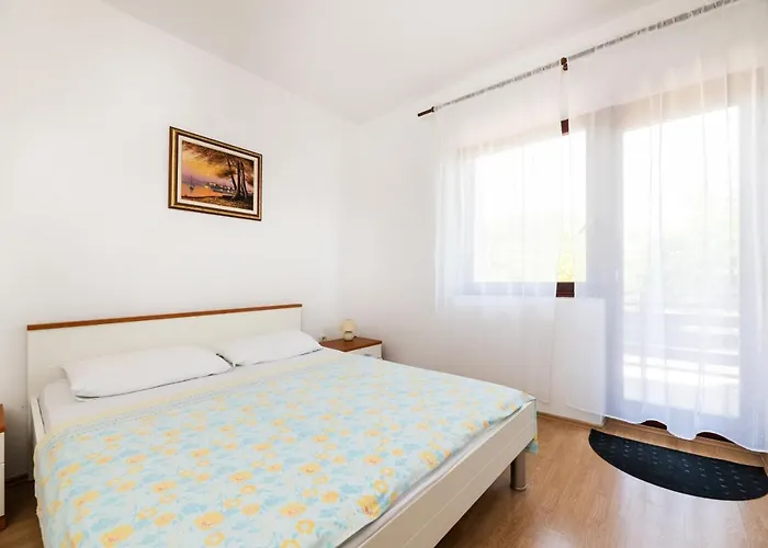 Petelin Novigrad Istria