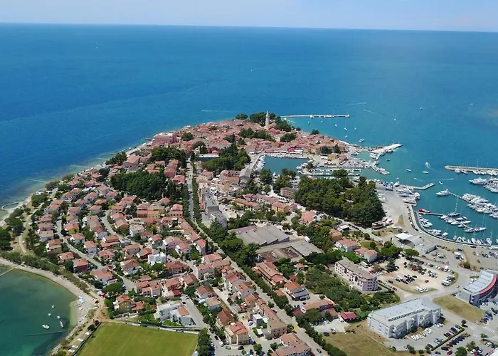 Petelin Novigrad Istria